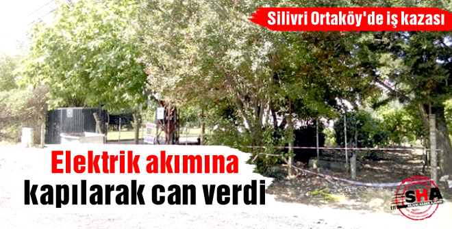 Elektrik akımına kapılarak can verdi