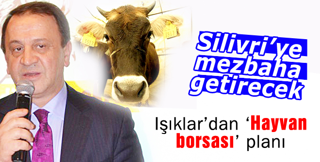 Silivriye mezbaha getirecek