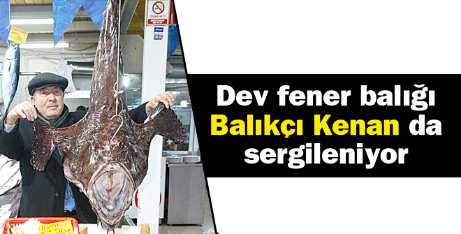 Dev fener balığı Balıkçı Kenan da sergileniyor