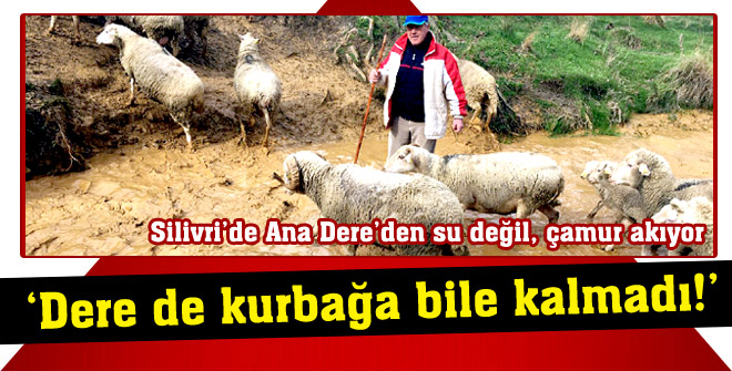Dere de kurbağa bile kalmadı!