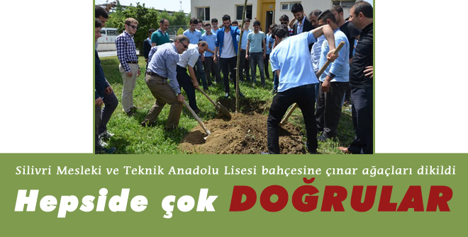 Doğrular Grup desteğiyle ağaç dikti!