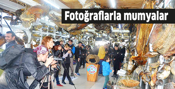 Fotoğraflarla mumyalar
