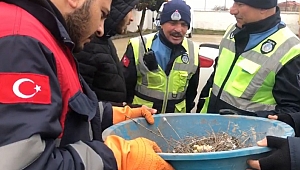 Belediye ekipleri iki yavru güvercini kurtardı
