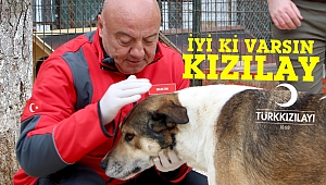 Kızılay’dan engelli hayvanlara bir kamyon yardım