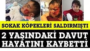 Köpeklerin saldırdığı 2 yaşındaki Davut, maalesef hayata tutunamadı