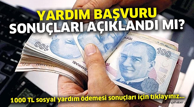 1000 Tl Sosyal Yardim Odemesi E Devlet Basvuru Ve Sonuc Sorgulama Ekrani Yorunge Haber