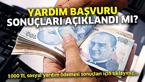 1000 TL sosyal yardım ödemesi e-Devlet başvuru ve sonuç sorgulama ekranı