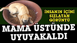 Çok şükür iyi insanlar var