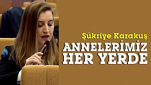 Karakuş: