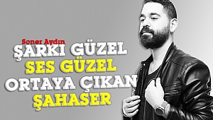 Merdo Merdo'ya bir başka yorum