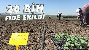 Silivri Belediyesinden çiftçiye destek sürüyor