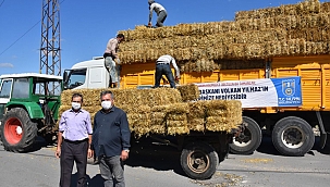 Köylüye saman dağıtılıyor