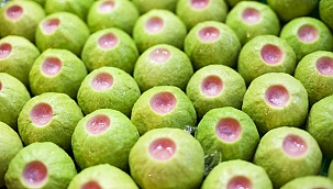 Türkiye'de bir ilk! Meyvelerin kralı ve kraliçesinin hasadına başlandı