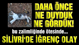 Bu zalimliğin hesabını sorun!