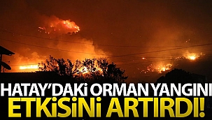 Hatay'daki yangın etkisini artırdı