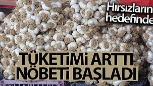 Taşköprü sarımsağı, hırsızların hedefinde