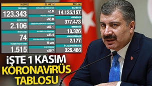 24 saatte 2106 kişiye Kovid-19 hastalık tanısı konuldu