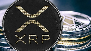 Ripple Nedir?
