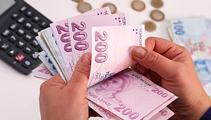 300 kadro ve pozisyon özelinde, 2021 Ocak ayı net maaş ve ücretleri