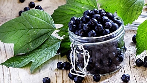 Aronya meyvesinin faydaları akciğerleri temizliyor!