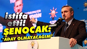 Bayram Şenocak, kongrede 'aday olmayacağını' açıkladı