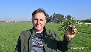 Yerli ve milli arpa tohumları toprakla buluştu