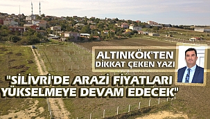 Altınkök,