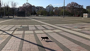 Bim, Şok ve A101 saat kaçta açılıyor? Hafta sonu marketler kaçta açılıyor? Kaçta kapanıyor? Ramazan yasakları...