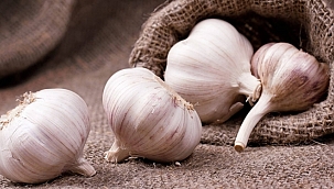 Reçetesiz antibiyotik sarımsağı tüketirken dikkat!