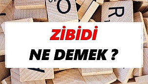 Zibidi Ne Demek? TDK’ya Göre Zibidi Sözlük Anlamı Nedir?