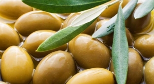 Zeytin neye iyi gelir osteoporozu önlüyor!