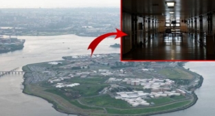 ABD ne yapacağını bilmiyor! Cinayetler, saldırılar, intiharlar derken New York Hapishanesi çığrından çıktı