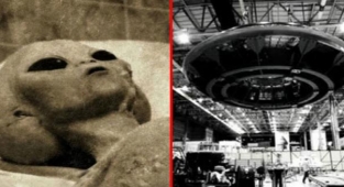 CIA'nın gizli yazışmaları ortaya çıktı! 1962'de 2 uzaylıyı ölü olarak bulmuşlar