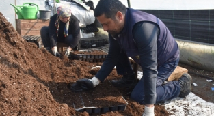 100 çeşit sebze ve meyve tohumu ekiliyor