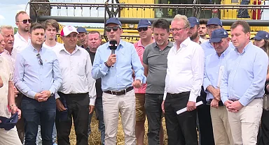 Bedelsiz dağıtılan yerli tohumun hasat zamanı geldi
