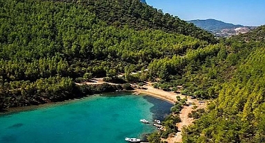 Mehmet Cengiz, Bodrum Cennet Koyu'nu Betona Boğacak