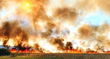 Silivri 'de 150 dönüm buğday tarlası kül oldu