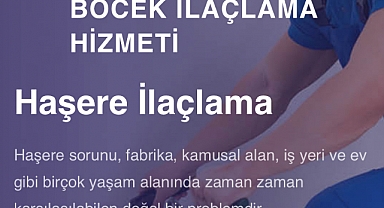 Böcek İlaçlama Hizmeti
