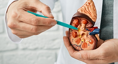 Böbrek kanserine yönelik tedavi seçenekleri artıyor
