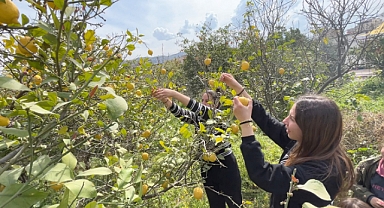 Küçükçekmece Belediyesi'nden Hatay'daki üreticilere destek!