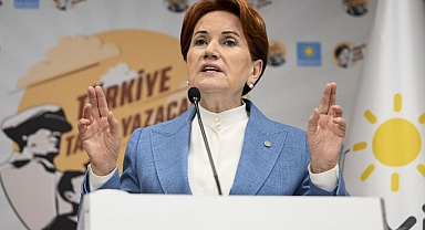 İyi Partili kurucu üye Akşener'i istifaya çağırdı