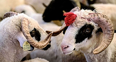 Kurban Bayramı tatili ne zaman? Kaç gün sürecek?