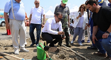 Silivri'de 5.100 adet yağlık zeytin fidanı toprakla buluştu