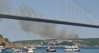 Beykoz'daki ormanlık alanda yangın çıktı