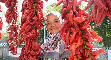 Sayarlar'da biber şenliği