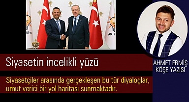 Ahmet Ermiş - Siyasetin incelikli yüzü