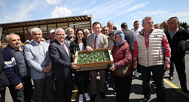 İBB'den çiftçilere fide desteği