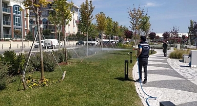 Park ve sosyal alanlarda haşere ilaçlaması
