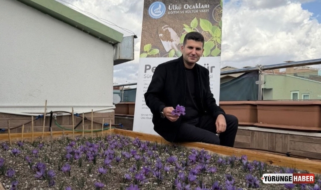 Terasta safran hasadı!