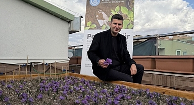 Terasta safran hasadı! 